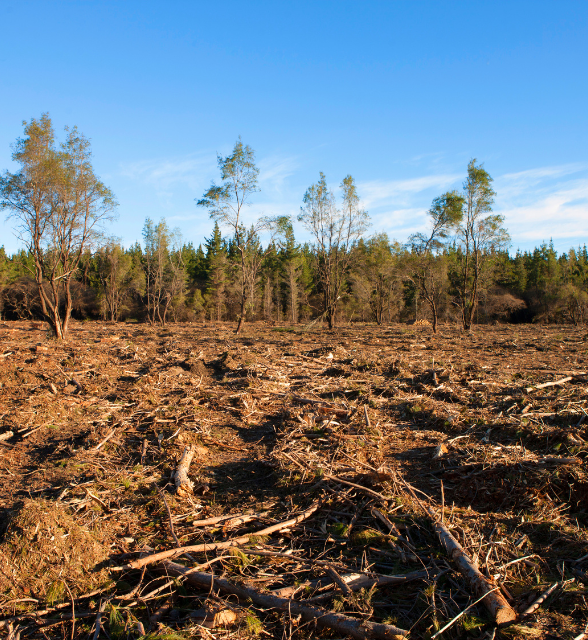 World 40% Poorer at 4 Degrees Warming